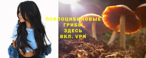 Альфа ПВП Осташков