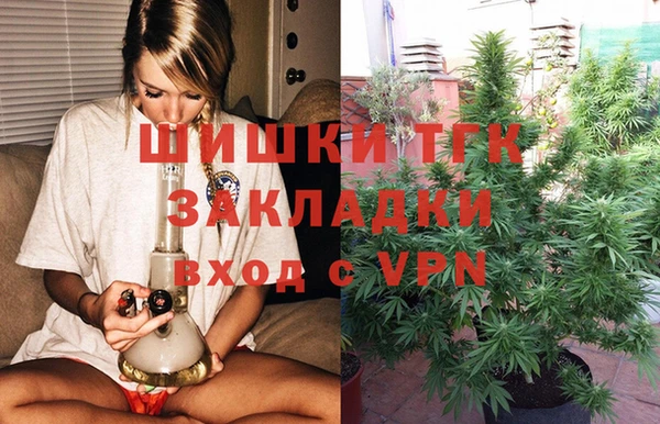СК Няндома
