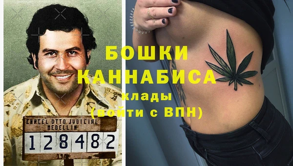 СК Няндома