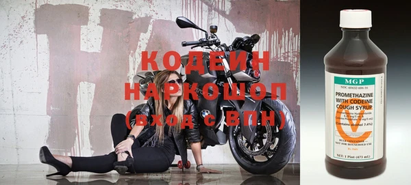 СК Няндома